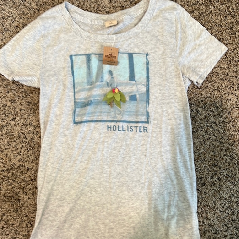 Hollister Size Large Hawaiian tropical t shirt rare discontinued Hulu girl GREY